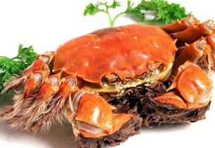 螃蟹什么季節(jié)最好吃？螃蟹幾月份吃最好？
