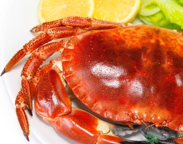 螃蟹可以帶上火車嗎？螃蟹可以帶上動車嗎？