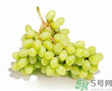 紫葡萄和綠葡萄哪個好?紫葡萄和青葡萄的區(qū)別 紫葡萄和綠葡萄哪個好?紫葡萄和青葡萄的區(qū)別