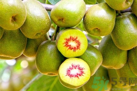 獼猴桃怎么去皮？如何挑選獼猴桃？