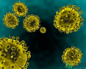 寨卡病毒會(huì)自己好嗎？寨卡病毒能自愈嗎？