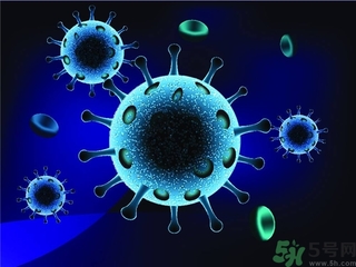 寨卡病毒會(huì)自己好嗎？寨卡病毒能自愈嗎？