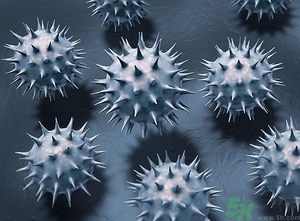 寨卡病毒蚊子如何預(yù)防？怎么預(yù)防寨卡病毒蚊子？