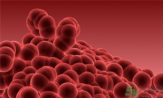 寨卡病毒會(huì)自己好嗎？寨卡病毒能自愈嗎？