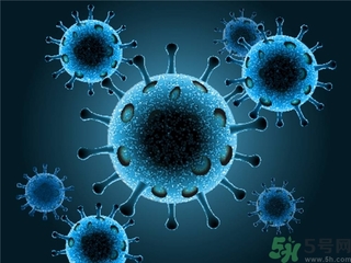 寨卡病毒會(huì)自己好嗎？寨卡病毒能自愈嗎？