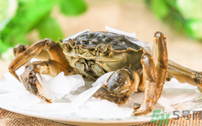 螃蟹什么時(shí)候上市？螃蟹上市時(shí)間