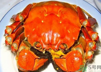 大閘蟹什么季節(jié)吃最好？吃大閘蟹的季節(jié)