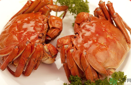 吃螃蟹中毒了怎么辦？吃螃蟹中毒了吃什么藥？