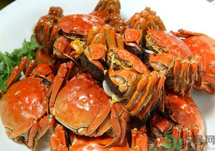 怎樣辨別陽(yáng)澄湖大閘蟹？陽(yáng)澄湖大閘蟹真假辨別