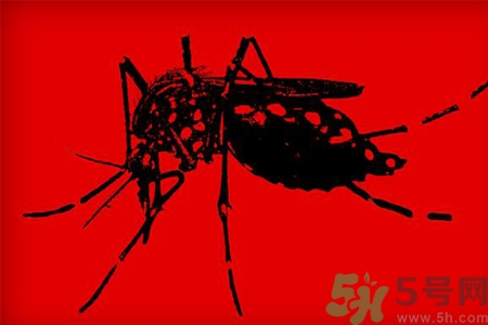 寨卡病毒是如何傳播的？寨卡病毒傳播途徑是什么？