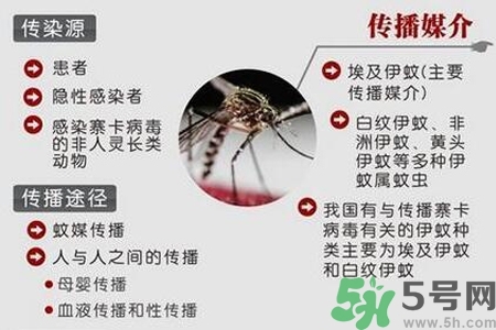 寨卡病毒會死人嗎？寨卡病毒會死嗎？