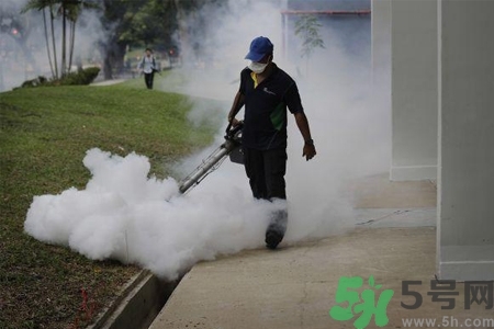 寨卡病毒會死人嗎？寨卡病毒會死嗎？