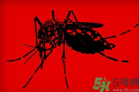 寨卡病毒會死人嗎？寨卡病毒會死嗎？