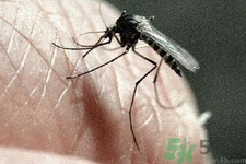 寨卡病毒可以治愈嗎？寨卡病毒如何治愈？