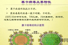 寨卡病毒對孕婦有危害嗎？寨卡病毒對孕婦的危害有哪些？