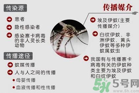 寨卡病毒對孕婦有危害嗎？寨卡病毒對孕婦的危害有哪些？