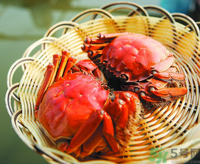 陽(yáng)澄湖大閘哪個(gè)牌子好？陽(yáng)澄湖大閘蟹哪個(gè)牌子是正宗的？