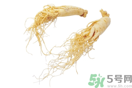 人參怎么吃效果最好？人參的做法大全