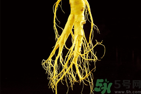 人參怎么吃效果最好？人參的做法大全