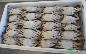 大閘蟹可以放幾天？大閘蟹可以冷凍嗎?