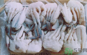 大閘蟹可以放幾天？大閘蟹可以冷凍嗎?