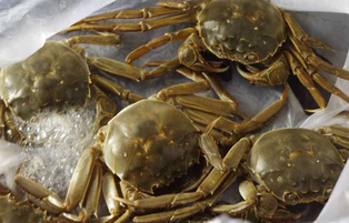 大閘蟹可以放冰箱嗎？大閘蟹放冰箱能活幾天？