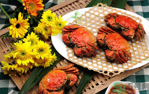 陽澄湖大閘蟹怎么做好吃？陽澄湖大閘蟹的做法