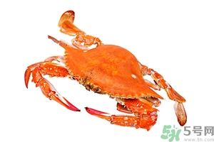 懷孕期間能吃螃蟹嗎？吃螃蟹會影響懷孕嗎？