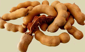 亞參果孕婦能吃嗎？孕婦吃亞參果有什么好處？