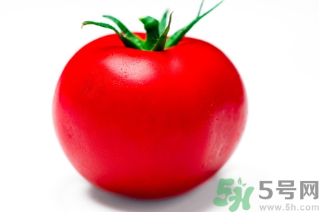 番茄和西紅柿有什么區(qū)別？番茄和西紅柿一樣嗎？