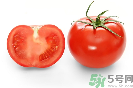 番茄和西紅柿有什么區(qū)別？番茄和西紅柿一樣嗎？