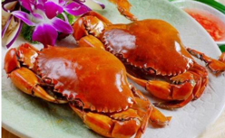 胃不好能吃螃蟹嗎？什么人不能吃螃蟹？