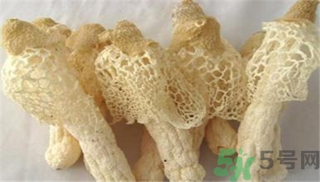 竹蓀的營(yíng)養(yǎng)價(jià)值 竹蓀的功效與作用