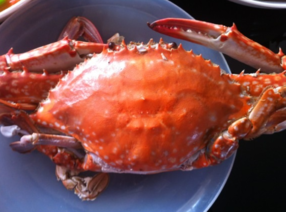 梭子蟹什么時候最肥？梭子蟹什么時候最好吃？