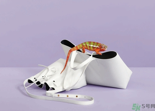 Mansur Gavriel水桶包價(jià)格多少錢？Mansur Gavriel水桶包尺寸大小