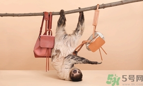 Mansur Gavriel水桶包價(jià)格多少錢？Mansur Gavriel水桶包尺寸大小