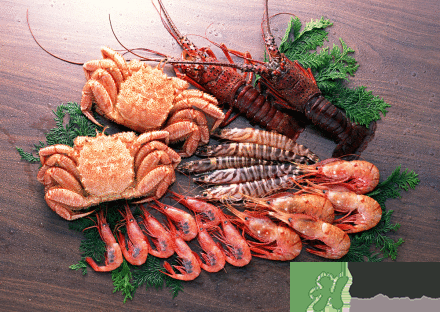 吃海鮮胸部會(huì)變大嗎？吃海鮮會(huì)得乳腺膿腫嗎？