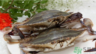 梭子蟹什么時(shí)候有黃？怎么看梭子蟹是否滿黃？