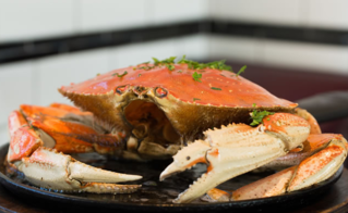 梭子蟹蒸多長時間？梭子蟹怎么蒸？