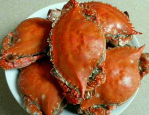 梭子蟹蒸多長時間？梭子蟹怎么蒸？