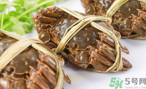 盤錦河蟹什么時候最好？盤錦河蟹什么時候最肥？