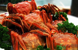 洪澤湖大閘蟹多少錢(qián)一斤？洪澤湖大閘蟹價(jià)格