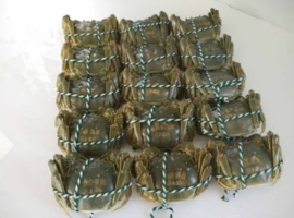 大閘蟹多少錢(qián)一斤？大閘蟹多少錢(qián)一只？