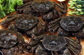 大閘蟹多少錢(qián)一斤？大閘蟹多少錢(qián)一只？