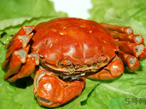 大閘蟹哪個(gè)品牌好？什么牌子的大閘蟹好吃？