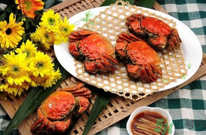 大閘蟹哪個(gè)品牌好？什么牌子的大閘蟹好吃？