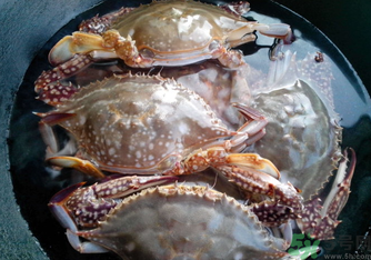 河蟹死了還能吃嗎？河蟹死了多久還能吃？