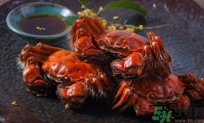 陽澄湖大閘蟹死了還能吃嗎？陽澄湖大閘蟹死了為什么不能吃？