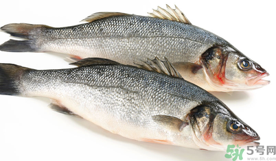 孕婦可以吃梭子蟹嗎？孕婦吃梭子蟹好嗎？