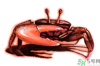 吃螃蟹后嘔吐怎么辦？吃螃蟹嘔吐吃什么藥？